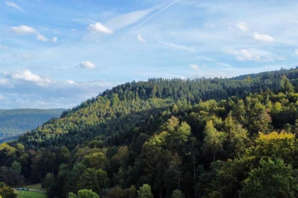 Wohnen Im Schwarzwald Mit Panoramablick Apartment Bad Herrenalb Luaran gambar